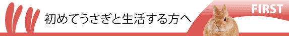 初めてうさぎと生活する方へ