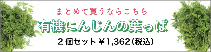 有機にんじんの葉っぱ　2個セット