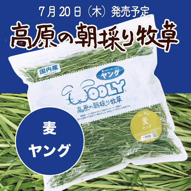 うさぎの牧草ウーリーの麦ヤング - 小動物用品