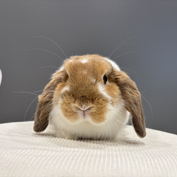 11/27写真更新しました！