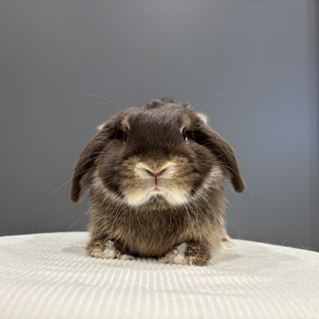 11/27写真更新しました！