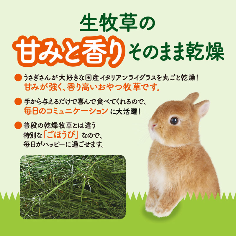 うさぎのしっぽ通販は、『旬牧草 毎日ごほうびイタリアンライグラス20g