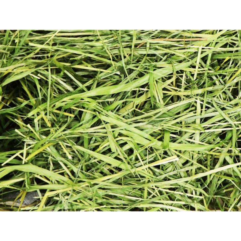 うさぎのしっぽ通販は、『高原の朝採り牧草 2種みっくす＋麦 8個入り