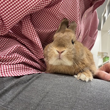 6/5　写真更新しました！