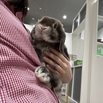 6/5　写真更新しました！