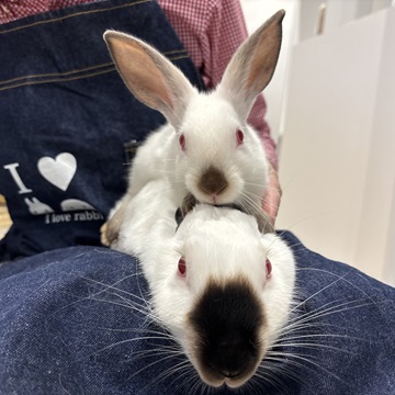 先輩ヒマちゃんとツーショット♪