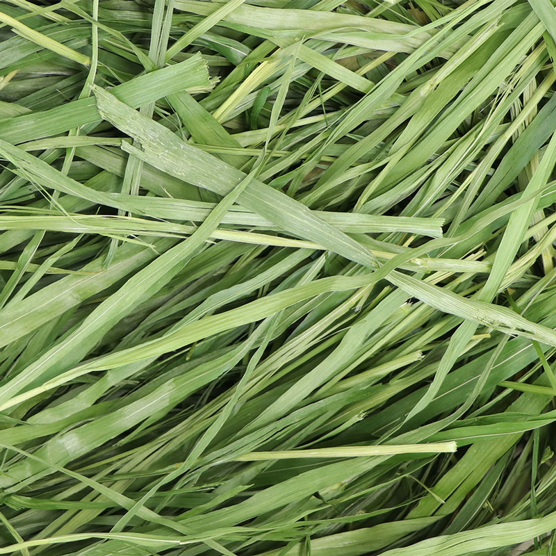 うさぎのしっぽ通販は、『高原の朝採り牧草 オーツヘイ 400g』を全国