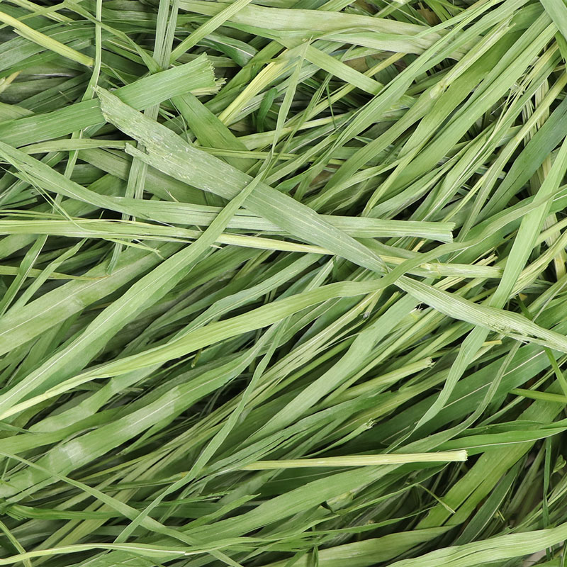うさぎのしっぽ通販は、『高原の朝採り牧草 オーツヘイ ヤング 8個入