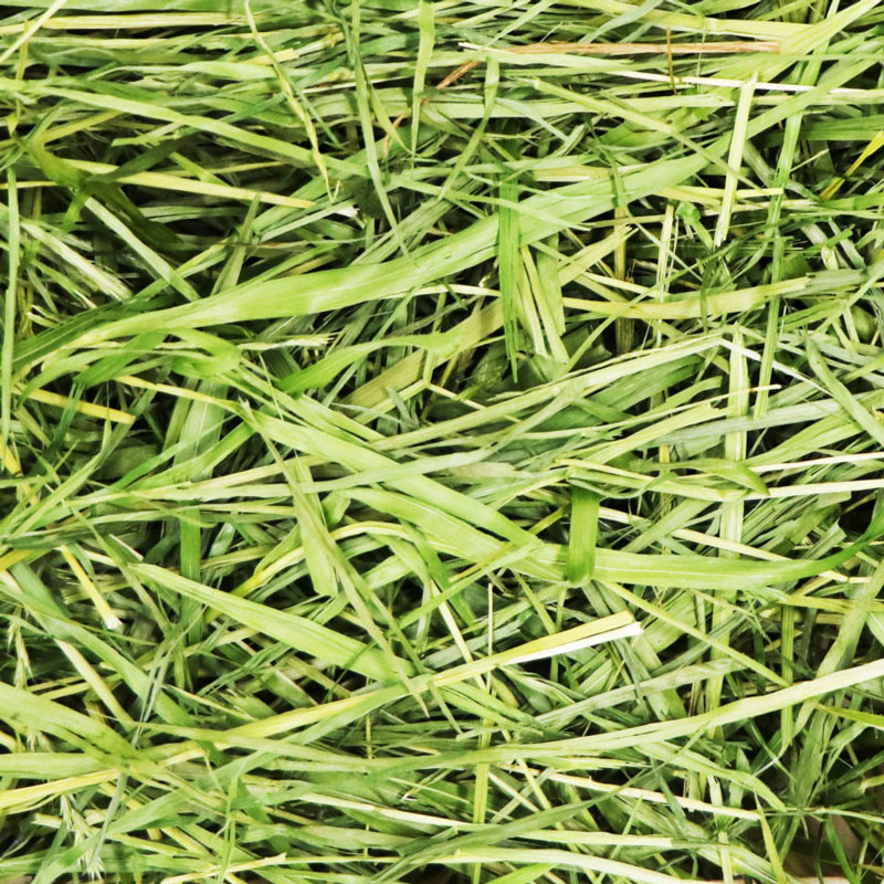 うさぎのしっぽ通販は、『高原の朝採り牧草 2種みっくす＋麦 400g