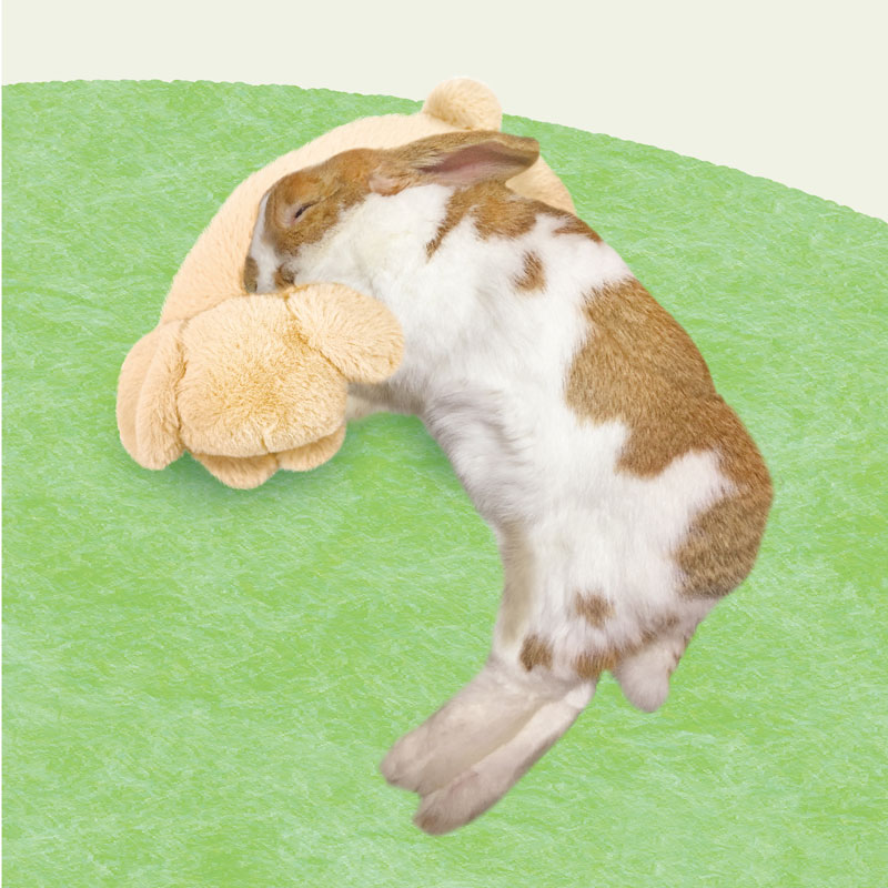 うさぎのしっぽ通販は、『うさぴた枕 たれ耳ちゃん』を全国へお届け