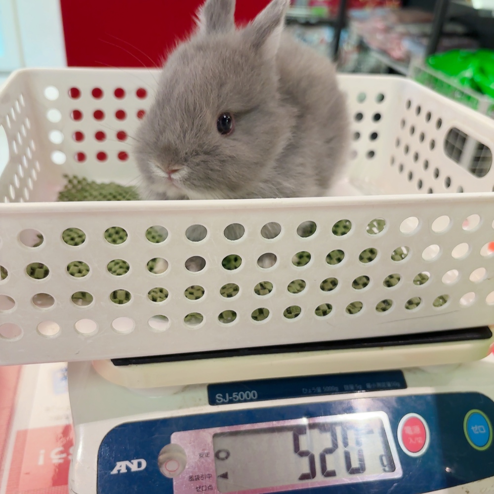 まだまだこれから！