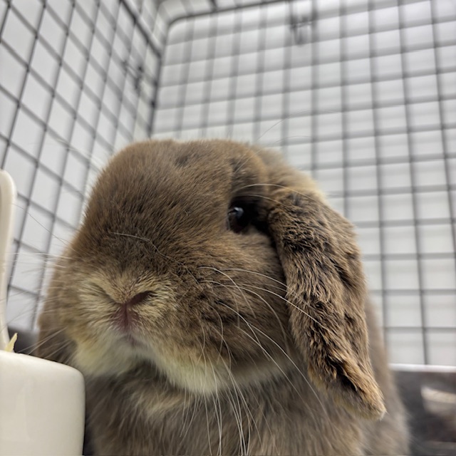 10/14　撮影　きゅるきゅる