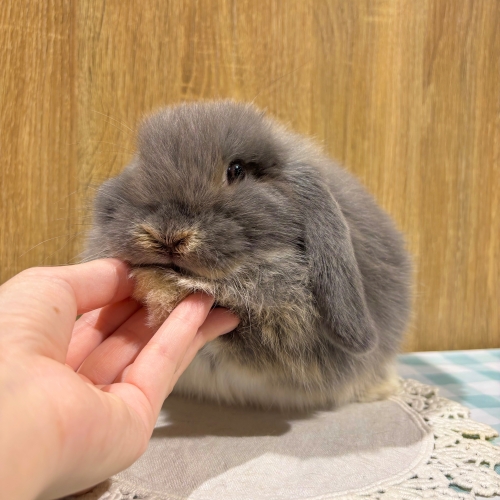 デビュー後間もない頃の写真です！