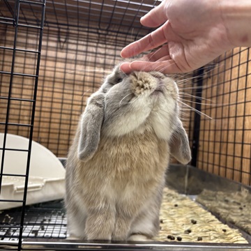 触れ合うの好き☆