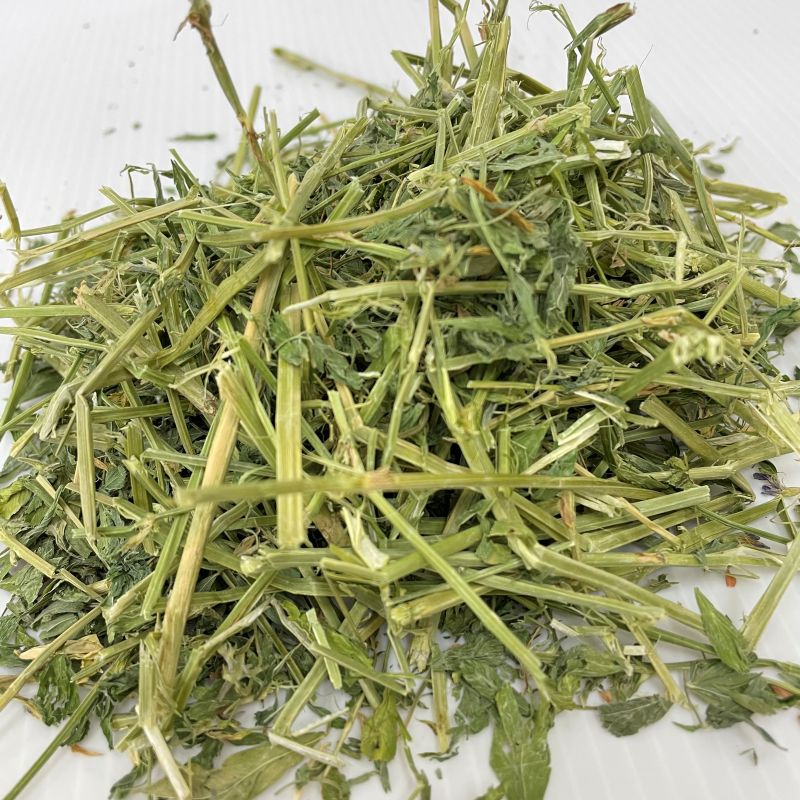 2025/6/15の牧草の状態です。