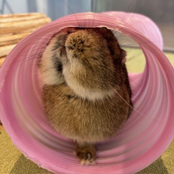 上が気になる、、、