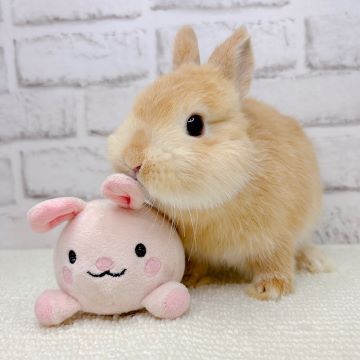 4人の兄弟と一緒に来たんだよ～