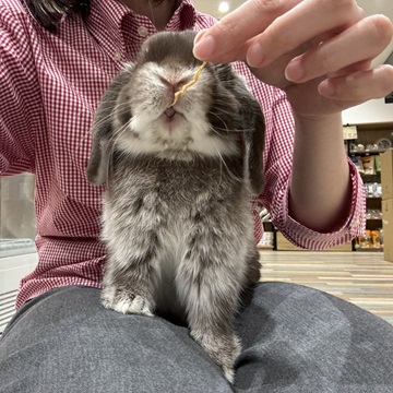 お膝の上でもおやつもぐもぐ！