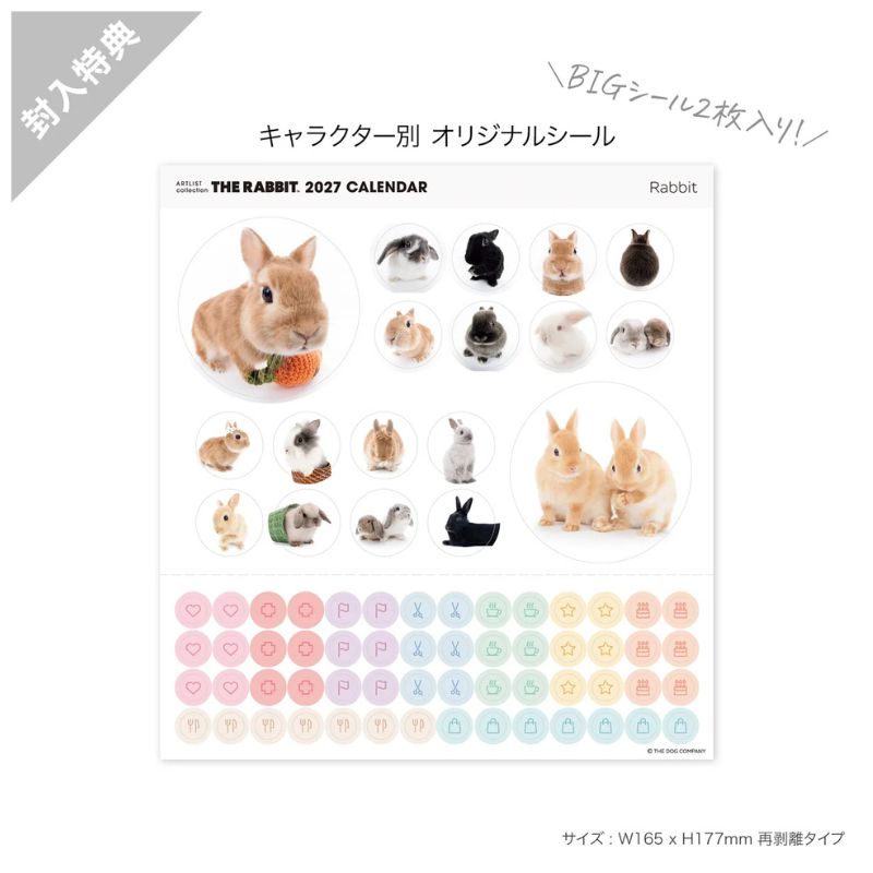うさぎのしっぽ通販は、『THE RABBIT 2027年カレンダー 大判サイズ』を