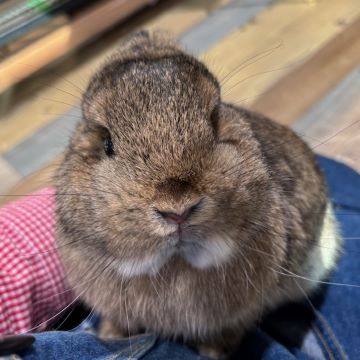 お耳どこ～？