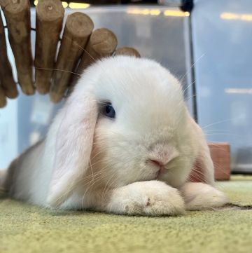 のびのび過ごしてます