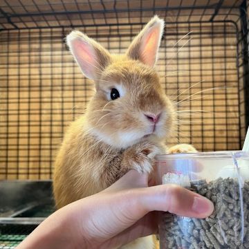 待ちに待ったご飯