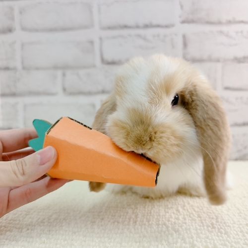 にんじんはいただきます