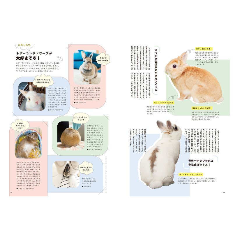 うさぎページ うさぎのしっぽ通販は、『うさぎのきもち Vol.8』を全国へお届け
