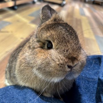 キラキラおめめ