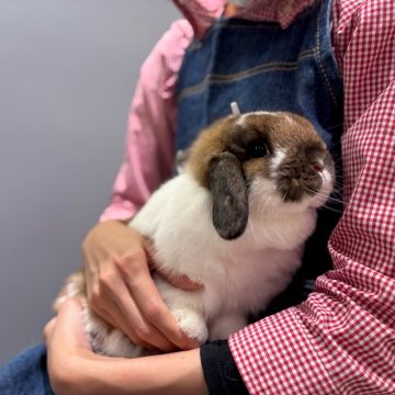 スタッフと仲良し