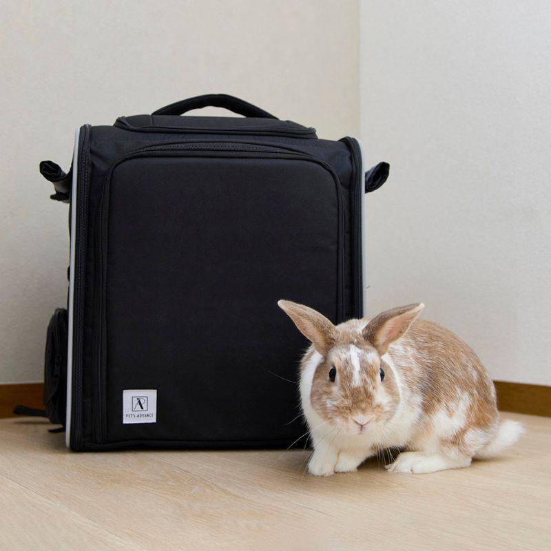 うさぎのしっぽ通販は、『ペット用拡張型キャリーバッグ ブラック』を