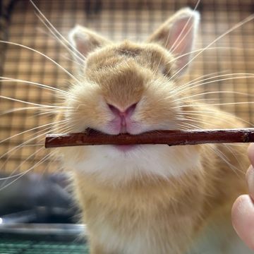 これあげる＝！！