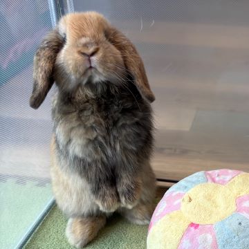 うたっち、上手でしょ！
