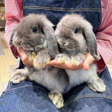 僕は左だよー！