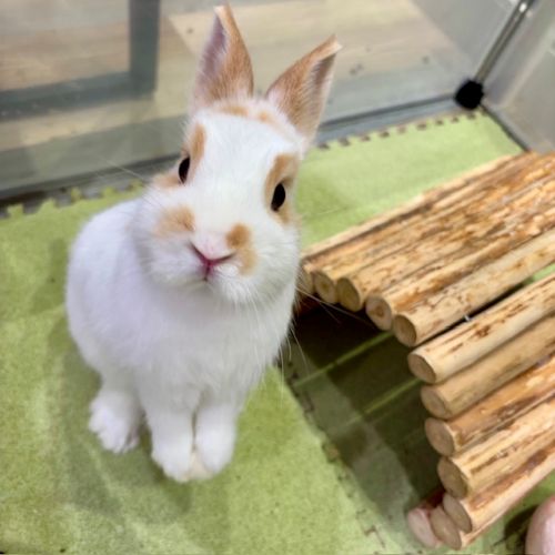 サークルでは元気いっぱい遊びます