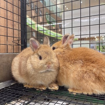 一緒にデビューした同期！