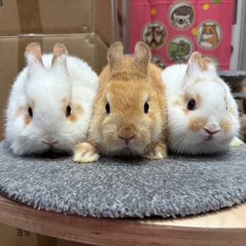 一番左です♪
