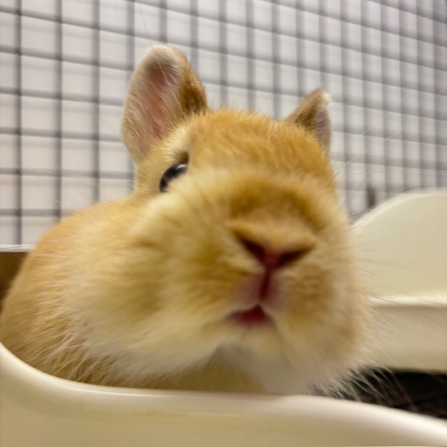 人に興味があります