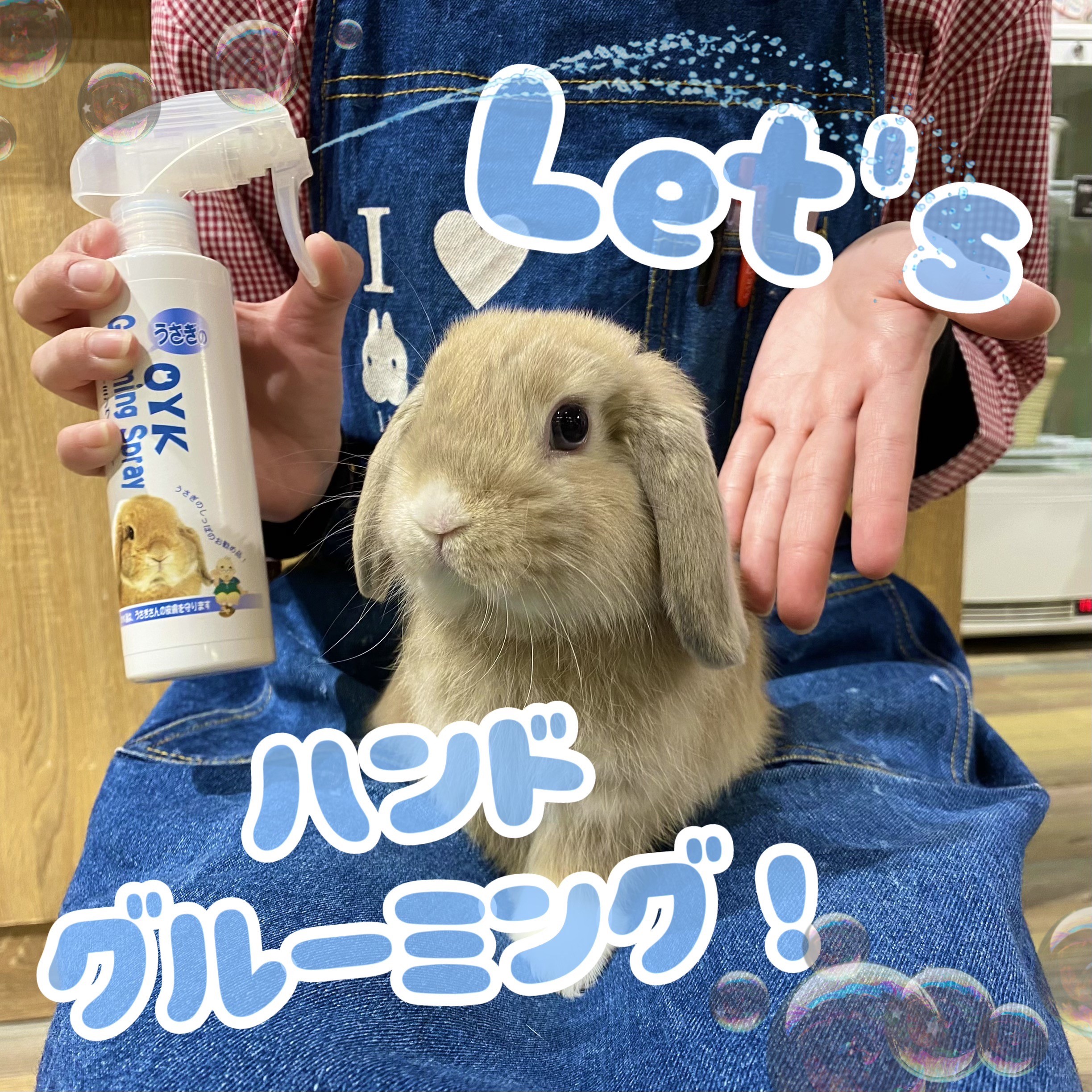 洗足店 | うさぎのしっぽ