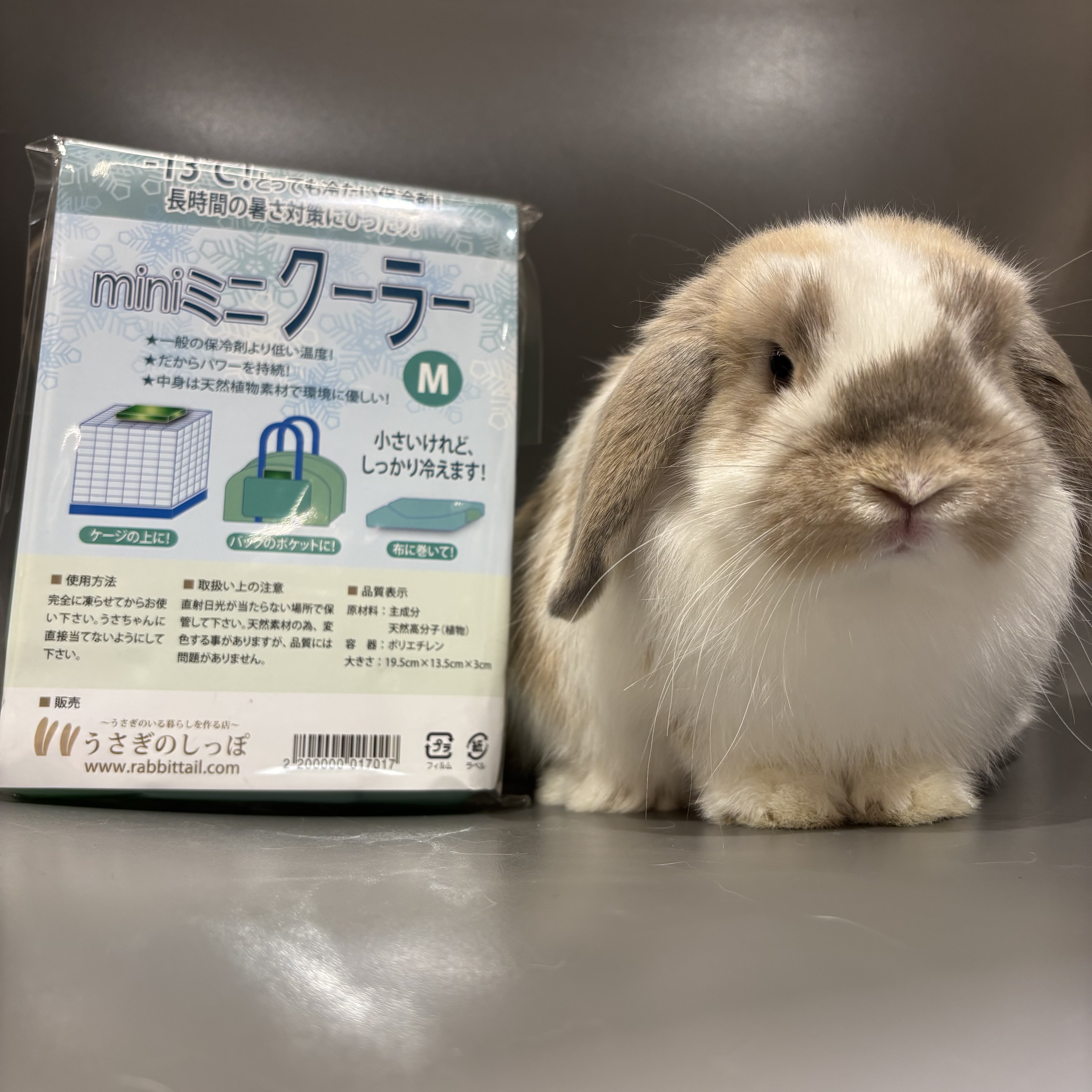 hus二子玉川店 | うさぎのしっぽ