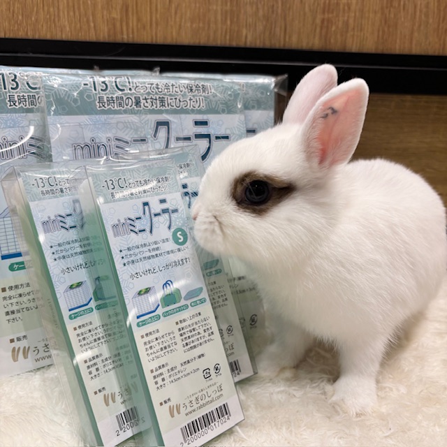 うさぎページ うさぎのしっぽ通販は、『うさぎと暮らす82号』を全国へお届け