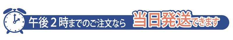 当日発送