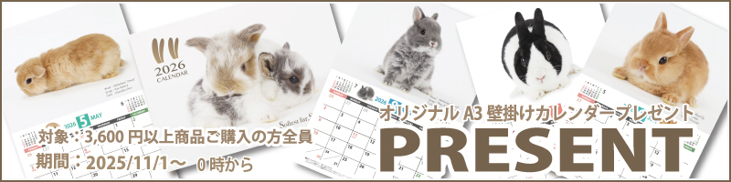 A3壁掛けカレンダープレゼント A3壁掛けカレンダープレゼント