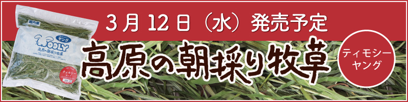 高原の朝採り牧草ティモシ―ヤング