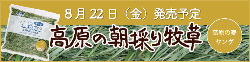 高原の麦