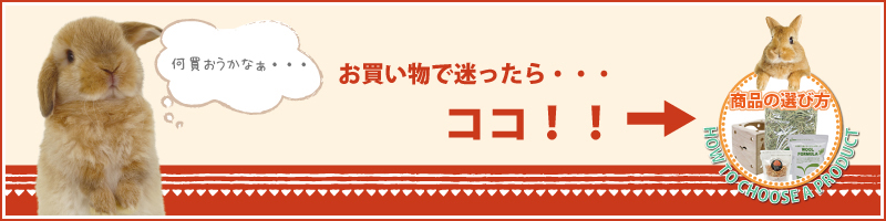 お買い物で迷ったら・・・
