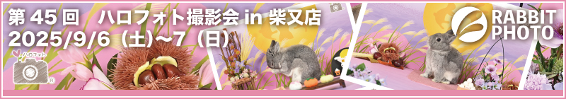 第45回ハロフォト撮影会 in 柴又店