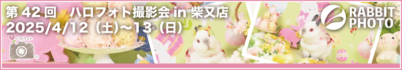 第42回ハロフォト撮影会 in 柴又店
