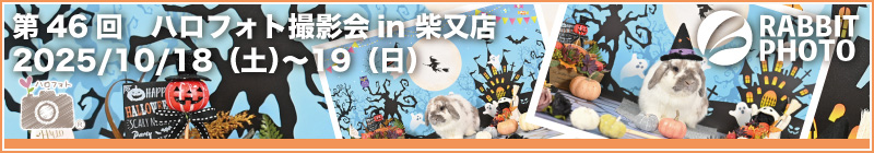 第46回ハロフォト撮影会 in 柴又店 第46回ハロフォト撮影会 in 柴又店