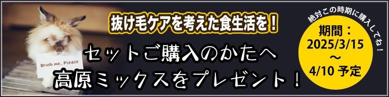 期間限定！抜け毛ケア対策セット